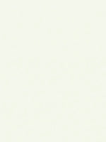 Body And Hair Glitter - PearKiss